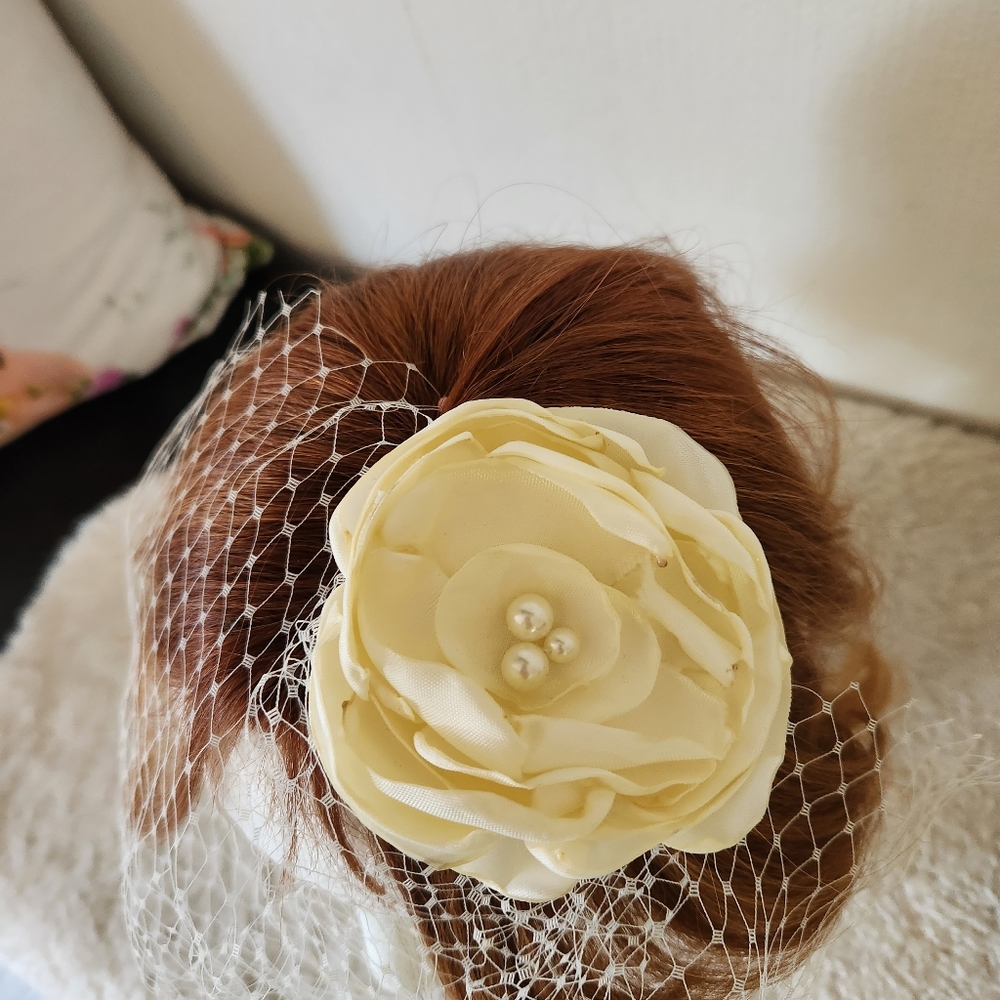Birdcage Veil